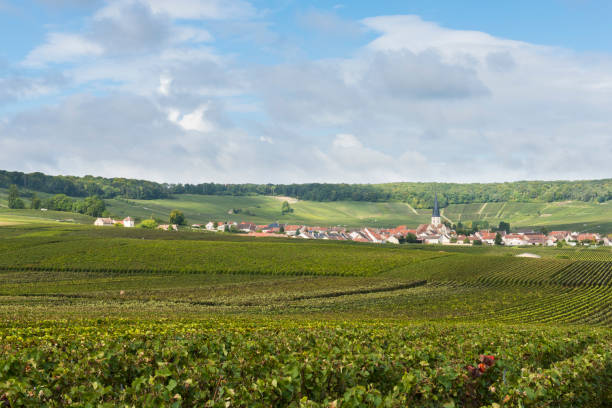 istock Chamery in Champagne Region 882162468