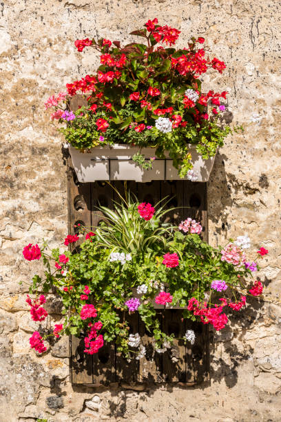 istock Flowers on Wall Pupitres Chamery 882163344