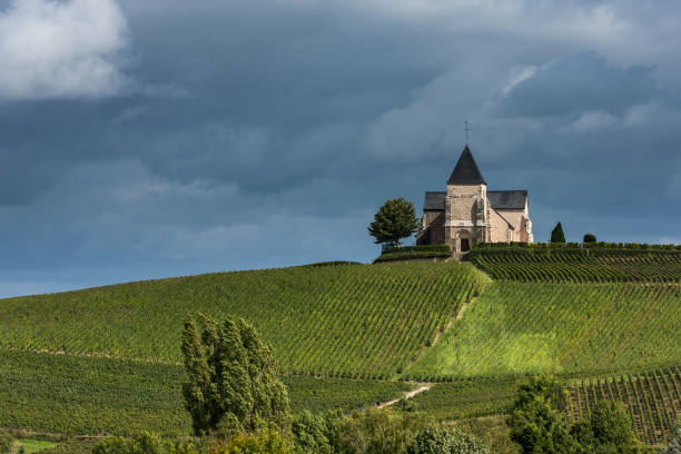 церковь и виноградники чавот-куркура - st martins church стоковые фото и изображения