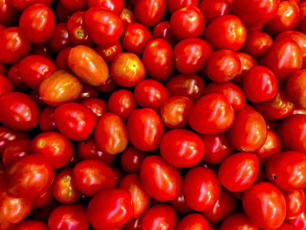 istock red tomatoes eco bio food 882164180