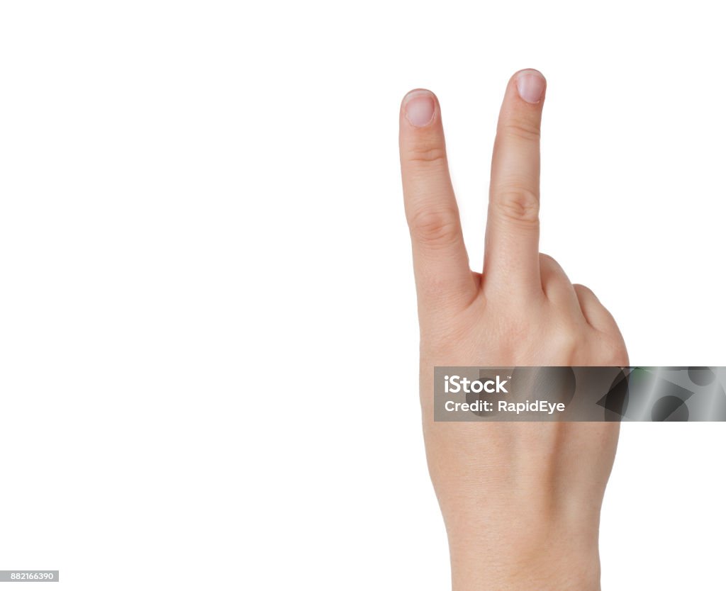 Backview Of Hand With Two Raised Fingers On White Stock Photo - Download  Image Now - Arm, Close-up, Copy Space - iStock