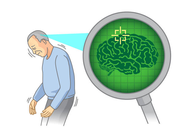 bildbanksillustrationer, clip art samt tecknat material och ikoner med kontrollera insidan av äldre hjärnan med förstoringsglas. - brain scan'