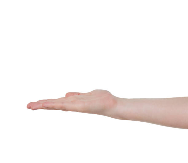 Flath Hand Flat Hand Palm Up