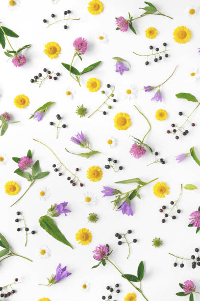 istock Flower pattern of wildflowers. 882178858