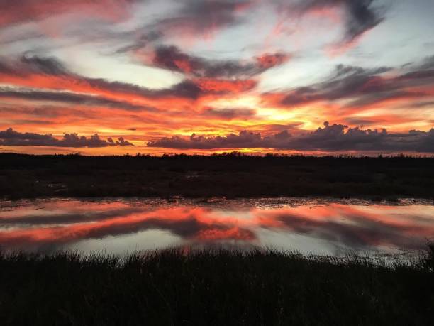 swamp sunset Vibrant sunset in the swamp mississippi delta stock pictures, royalty-free photos & images