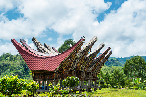 Traditonal Tongkonan Houses of the Toraja people in the Toraja Highlands, Central-Sulawesi, Indonesia.These type of houses is used for both, a home for families as well as storage of rice, the main crop.