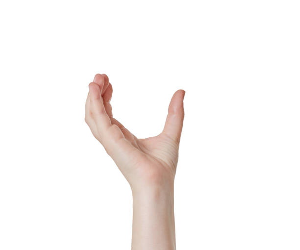 Hand held aloft, curved into U shape, cupping copy space A hand is raised and curved into a U shape as though holding or cupping something, but it's actually copy space for your product or copy. the letter u stock pictures, royalty-free photos & images