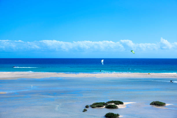 istock Sotavento Beach in Fuerteventura, Spain 882208664