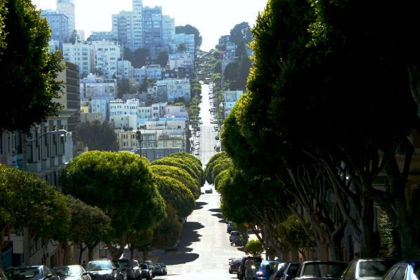 istock Streets of San Francisco 882215978