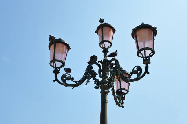 Pigeons in a streetlight. Istanbul, Turkey - February 9, 2019