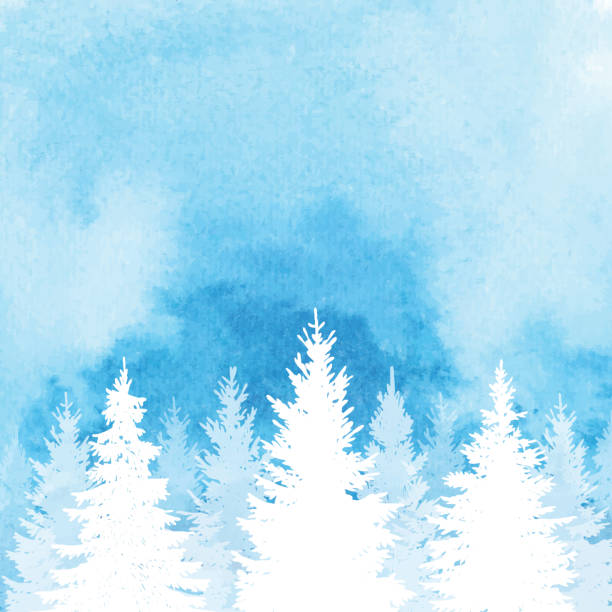 ilustraciones, imágenes clip art, dibujos animados e iconos de stock de fondo bosque de invierno de acuarela - evergreen tree pine tree painted image watercolour paints