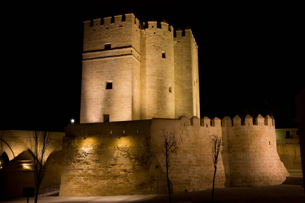istock Calahorra Tower in Cordoba at Night 882228544