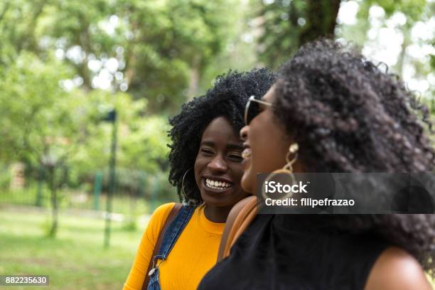 Afro Abstieg Mädchen Die Eine Tolle Zeit Zusammen Im Park Stockfoto und mehr Bilder von Afrika