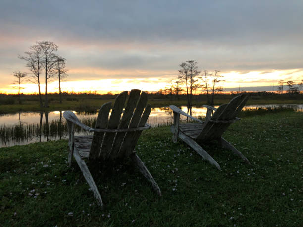 istock swamp sunsets in the Louisiana marsh 882235806