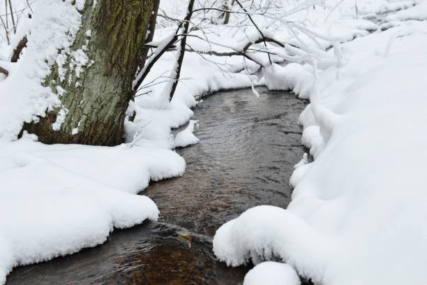 istock Creek in a snowy forest. Manor Karabiha.Yaroslavl 882246140