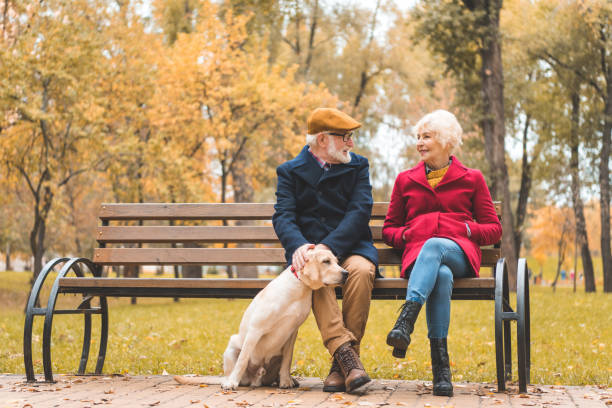 istock senior couple with labrador dog 882249044