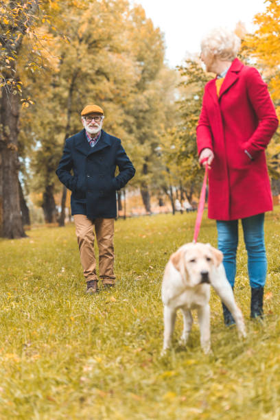 istock senior couple walking with dog 882249098