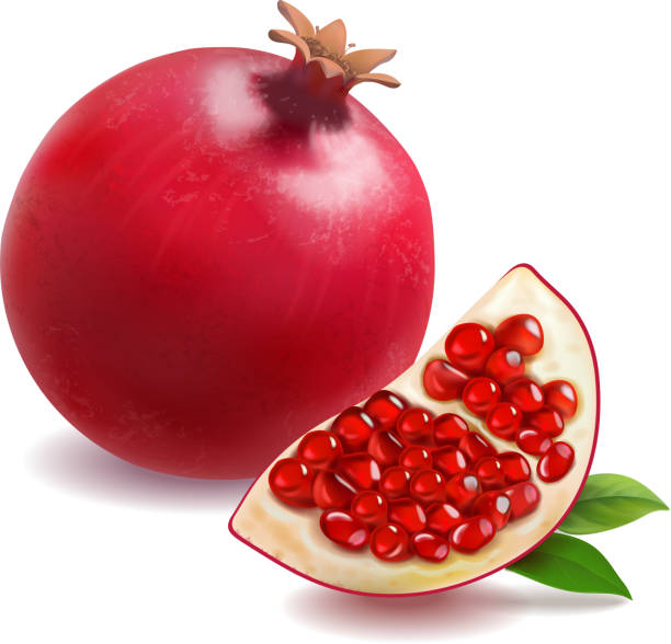 ilustrações de stock, clip art, desenhos animados e ícones de pomegranate or garnet realistic vector - romã