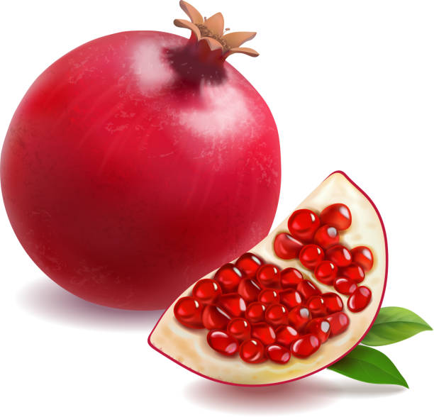 Pomegranate or garnet realistic vector Pomegranate or garnet realistic isolated vector. pomegranate stock illustrations