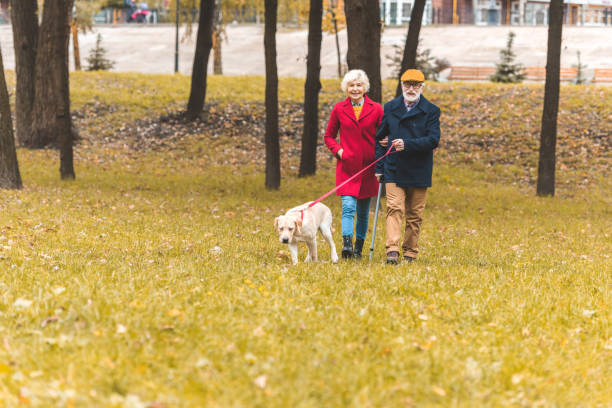 istock couple with dog in autumn park 882249430