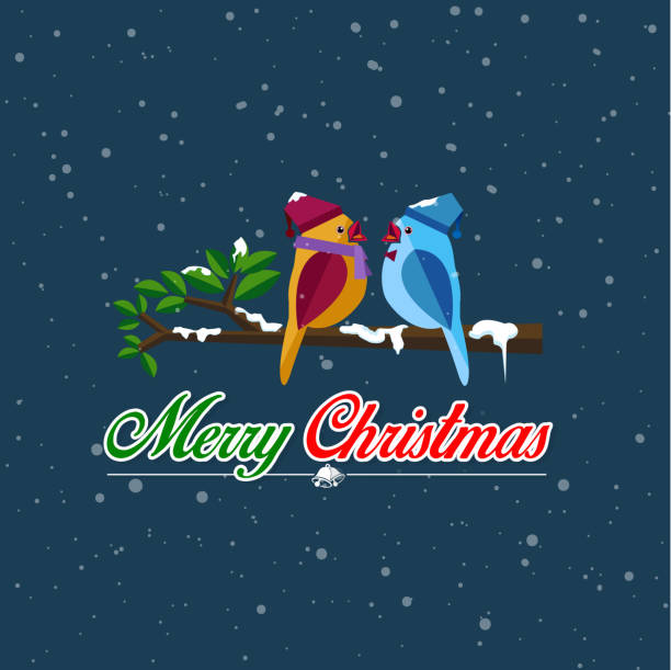 Merry Christmas And Happy New Year Card And The Two Birds Perched