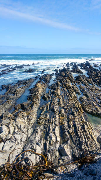 istock Rocky beach front, Cape Town, South Africa 882250228