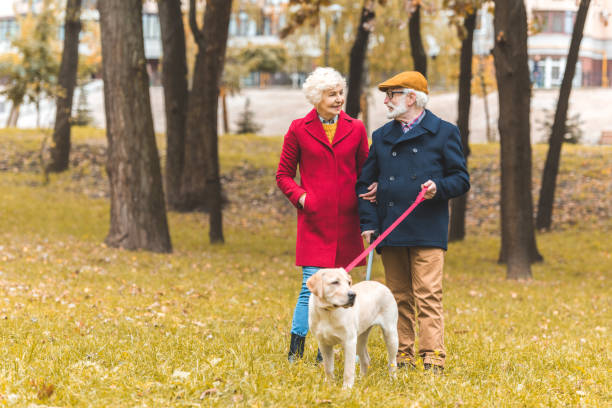 istock senior couple with dog 882250546