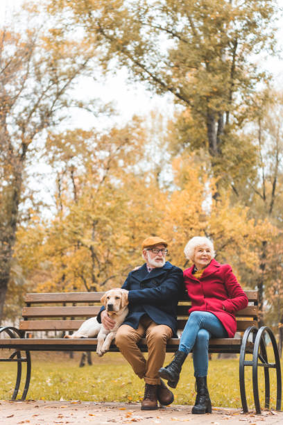 istock senior couple with dog on bench 882252686