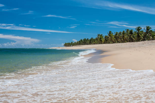 istock Gunga Beach - Alagoas - Maceio - Brazil 882255332