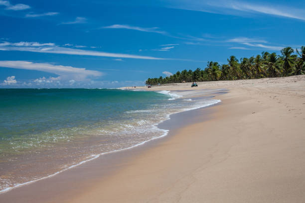 Gunga Beach - Alagoas - Maceio - Brazil Gunga Beach - Alagoas - Maceio - Brazil maceio photos stock pictures, royalty-free photos & images