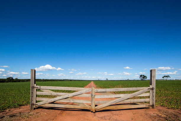 cancello di legno in fattoria che chiude la strada - farm gate foto e immagini stock
