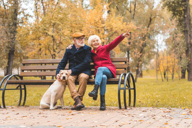 istock senior couple with dog 882255768