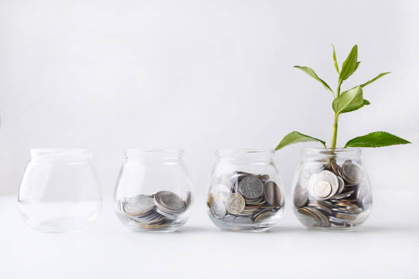 pianta che cresce su monete in barattolo di vetro - jar coin currency glass foto e immagini stock