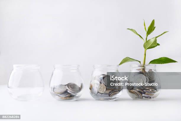 Plant Growing On Coins In Glass Jar Stock Photo - Download Image Now - Savings, Pension, Growth