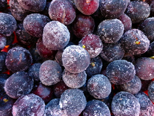 Frozen fruits Frozen fruits frozen grapes stock pictures, royalty-free photos & images