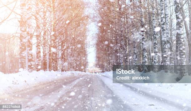 Winter Landscape Snow Covered Expanses A Park In The Winter In Stock Photo - Download Image Now