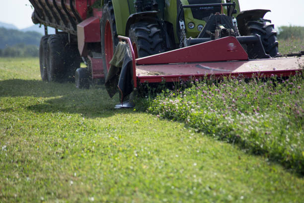 istock tractor haying grass own summer lawn 882280602