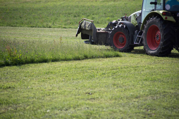 istock tractor haying grass own summer lawn 882280644