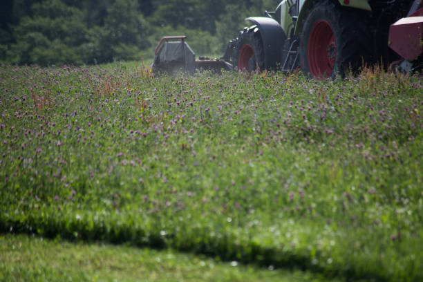 istock tractor haying grass own summer lawn 882280656