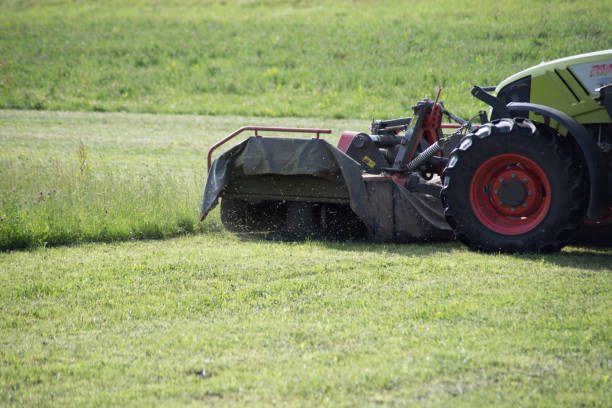 istock tractor haying grass own summer lawn 882280660