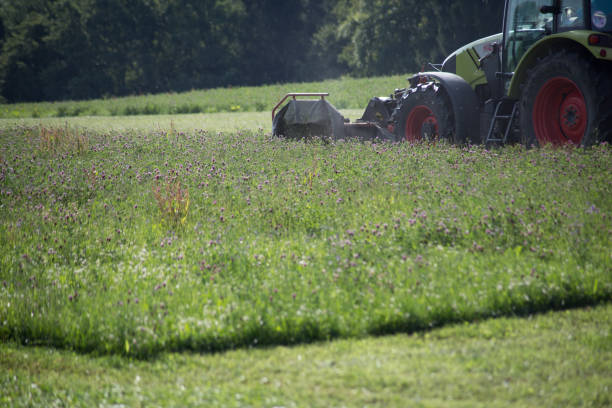istock tractor haying grass own summer lawn 882280672
