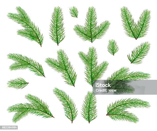 Christmas Tree Branches Stock Illustration - Download Image Now - Branch - Plant Part, Christmas Tree, Vector