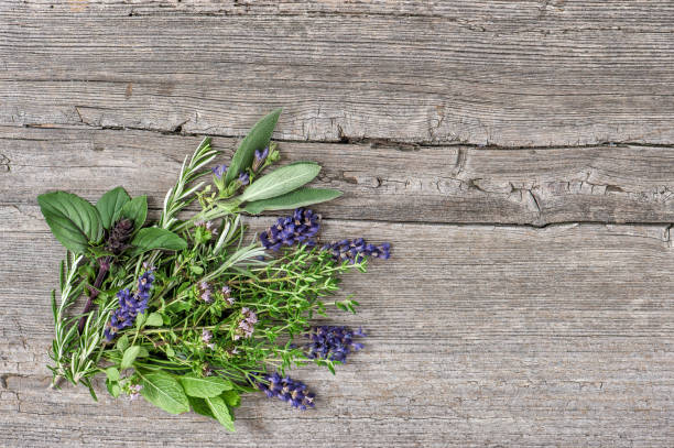 istock Bundle fresh herbs Basil rosemary mint sage thyme oregano 882291272