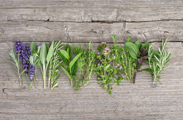 Fresh herbs wooden kitchen table Food background