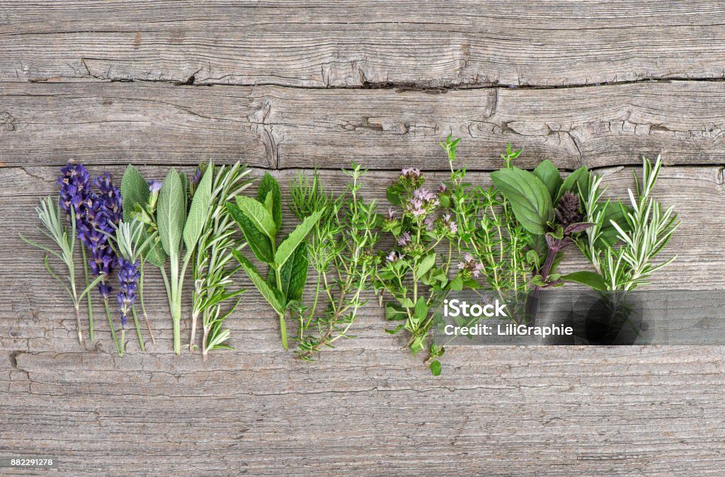 Fresh herbs wooden kitchen table Food background Fresh herbs on wooden kitchen table. Food background. Basil, rosemary, mint, sage, thyme, oregano, marjoram, savory, lavender Herbal Medicine Stock Photo