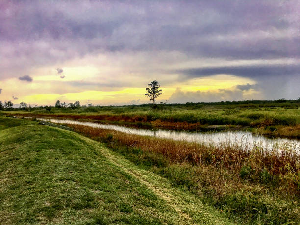 istock stormy and hazy day in the swamps 882291354