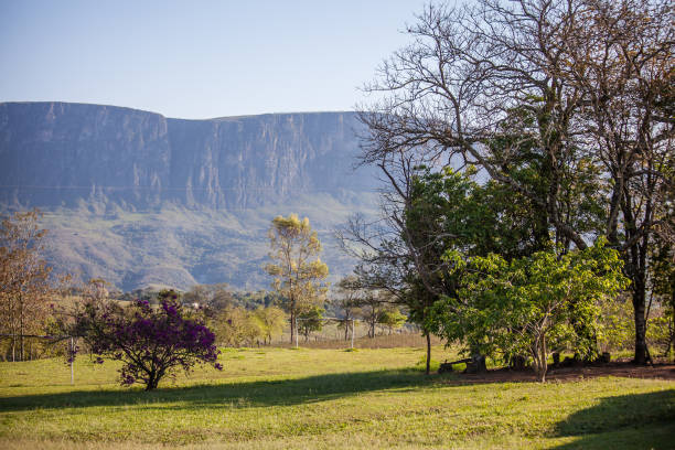 istock Serra da Canastra National Park - Minas Gerais State - Brazil 882294990