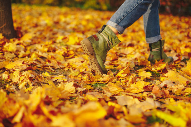 istock Leather shoes walking on fall leaves Outdoor 882302652