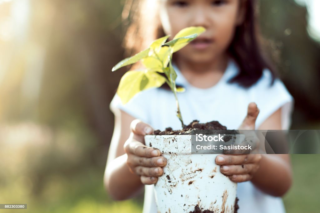 Carino bambino asiatico che tiene giovane albero in vaso per preparare la pianta a terra - Foto stock royalty-free di Bambino