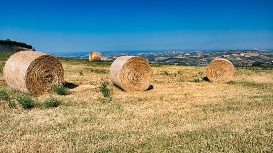 Rural landscape along the road from Civitella del Tronto to Teramo (Abruzzi, Italy) at summer.